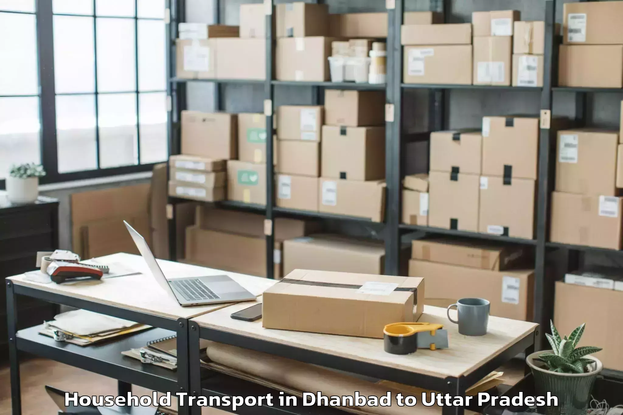 Professional Dhanbad to Belthara Road Household Transport